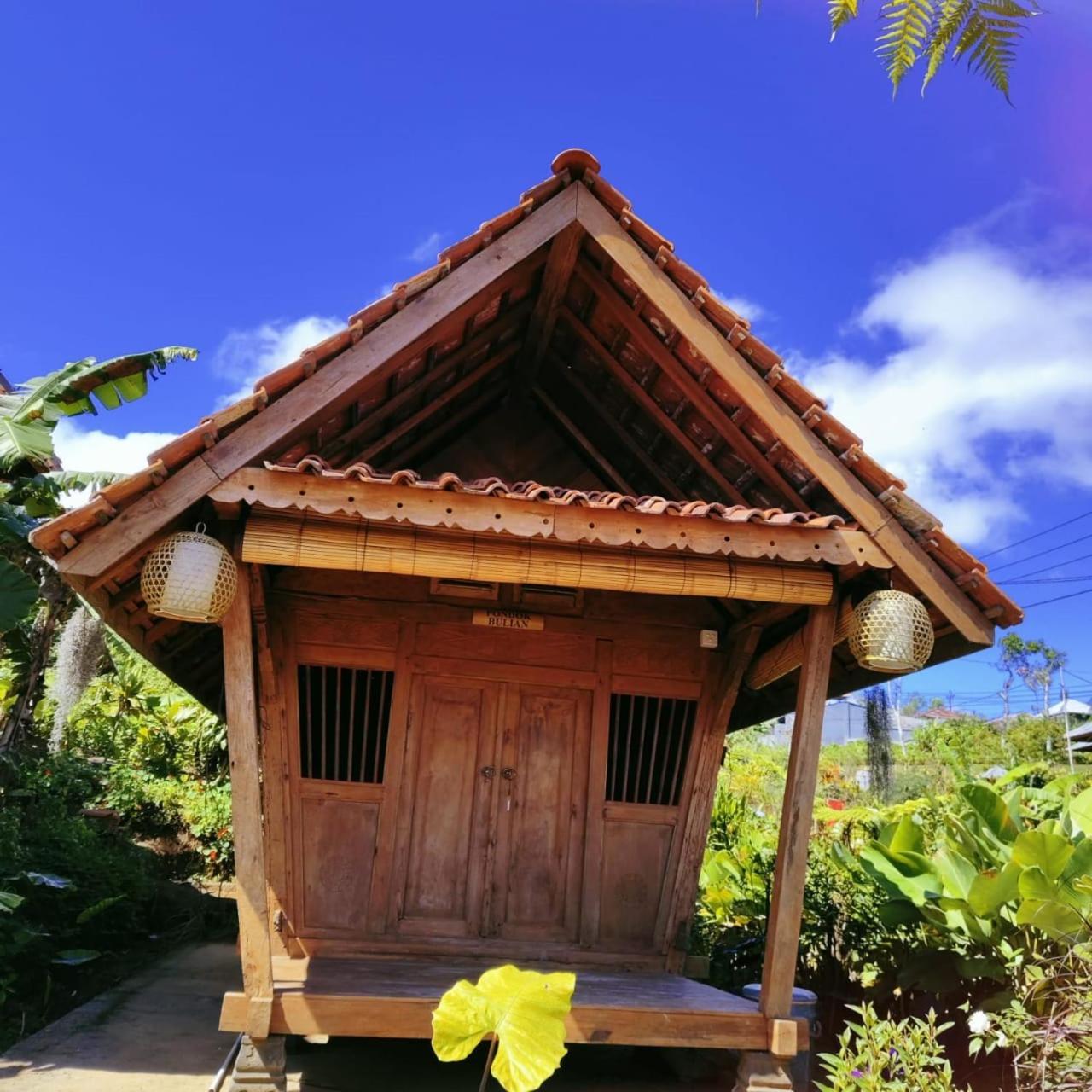 Pondok Kawinaya Singaraja Chambre photo